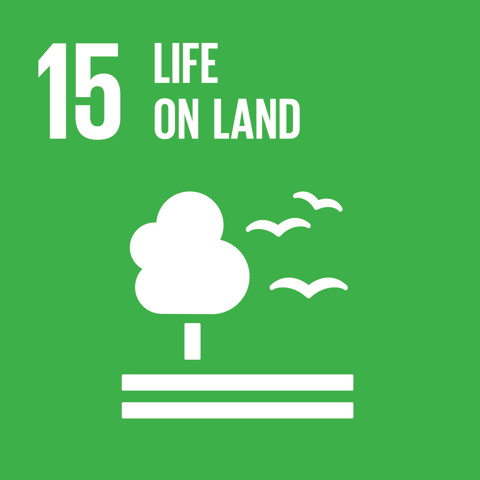 Sustainable Development Goals 15