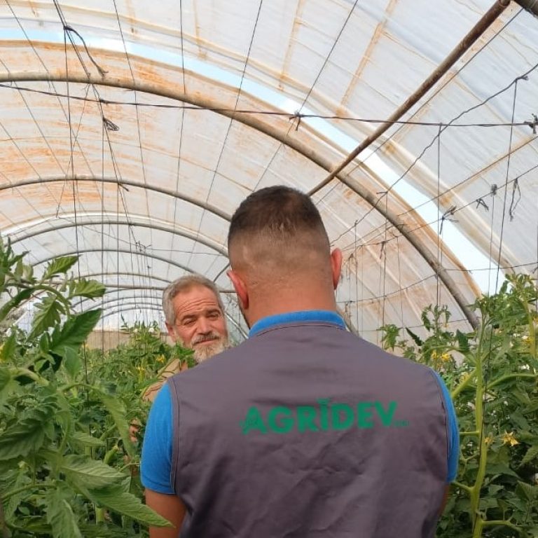 WhatsApp Image 2024-05-27 at 17.03.37_feed12cf