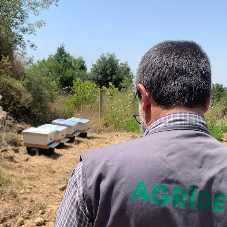 WhatsApp Image 2024-06-14 at 15.19.04_740c2010