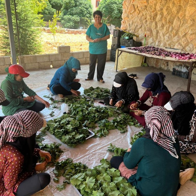 WhatsApp Image 2025-11-26 at 20.43.19_de247310