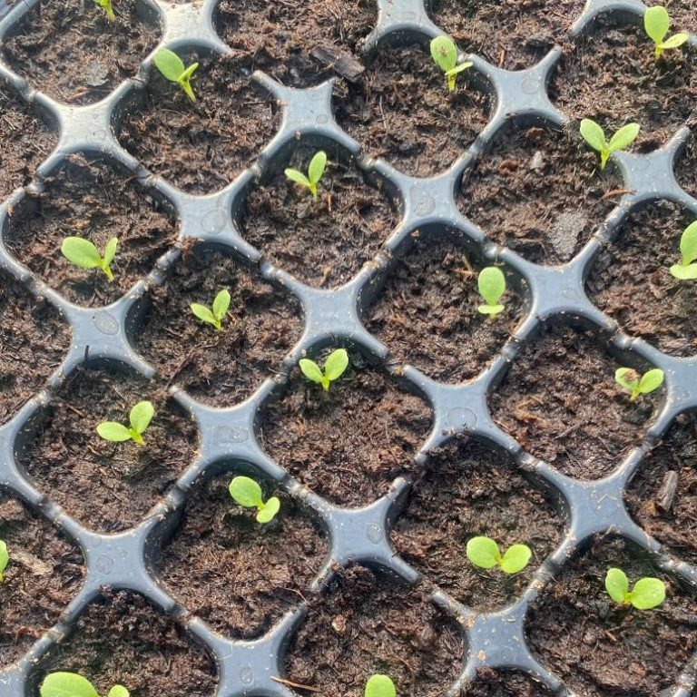 WhatsApp Image 2025-11-26 at 21.09.29_067877c4